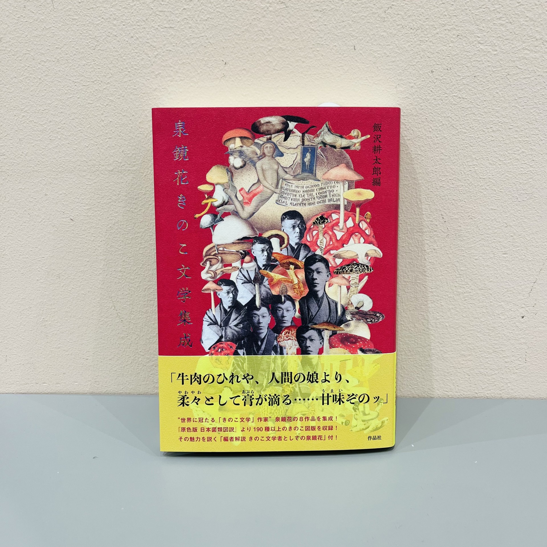 飯沢耕太郎/編『泉鏡花きのこ文学集成』（作品社）