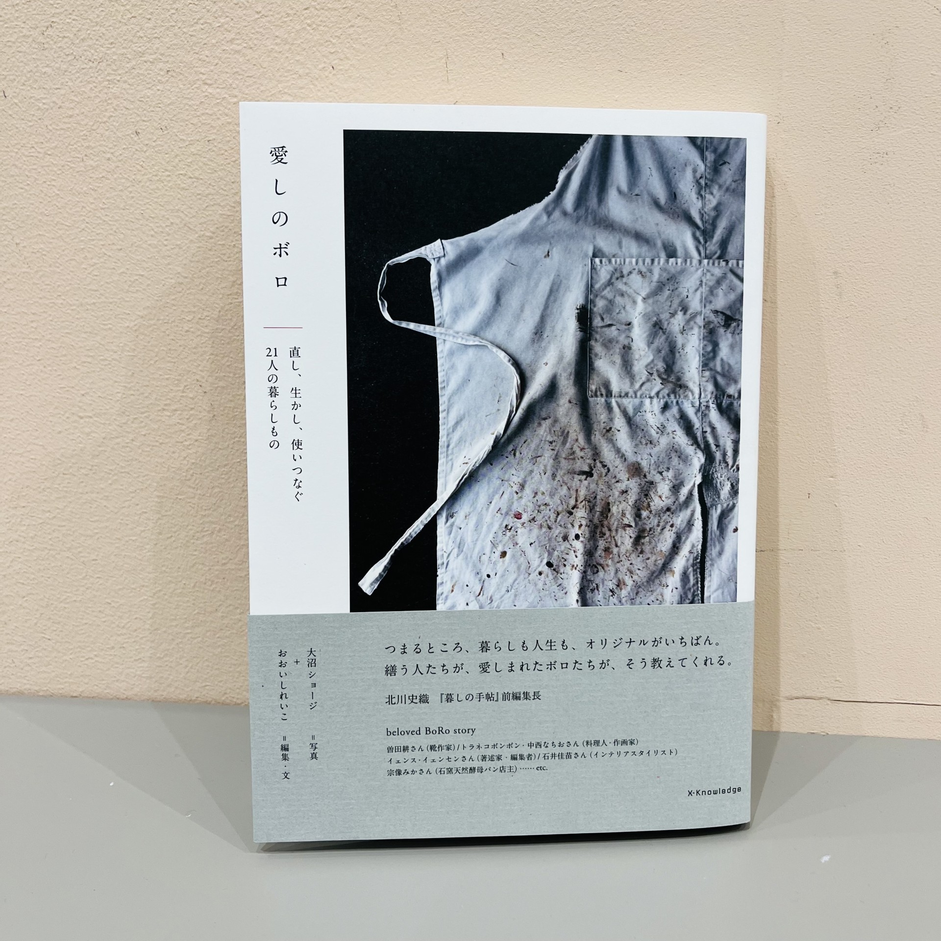 大沼ショージ/写真　おおいしれいこ/編集・文『愛しのボロ』（エクスナレッジ）